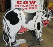 Cow Milking Contest